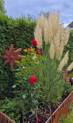 20251005_083745.webp