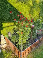 20230601_193805.webp