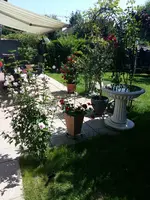 20180724_133041.webp