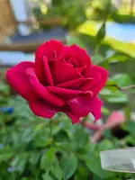 20250920_131449.webp