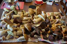 DSCF7692.webp