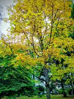 IMG_20251012_152256~3.webp