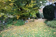 Laub0225.webp