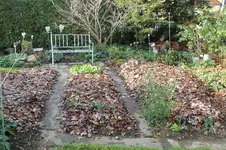 Nov.0322.webp