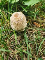 IMG_20251018_103528.webp