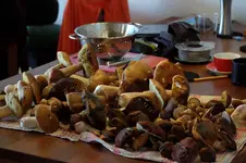DSCF7702.webp