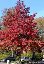 Gallery_1761055368665.webp