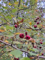 20251021_170929.webp