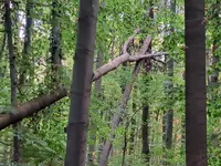 20251021_171446.webp