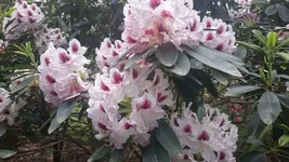 IMG-20190528-WA0003 (1).webp