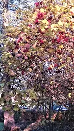 DSC_1509 (2).webp
