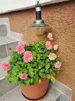 IMG_20221014_085510.webp