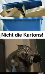 Bild 3.webp
