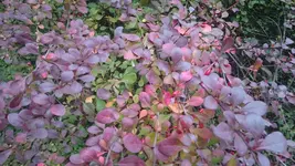 DSC_1378 (2).webp