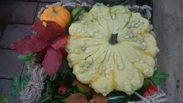 DSC_1205 (4).webp