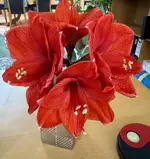 Bildschirmfoto 2025-10-25 um 13.30.59.webp