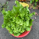 IMG_6661.webp IMG_6661.webp