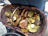 DSC01499.webp DSC01499.webp