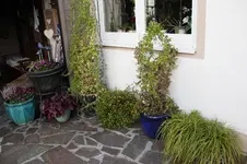 Oktober      1825.webp