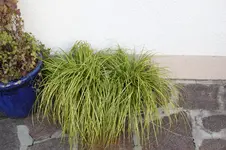 Oktober      1925.webp