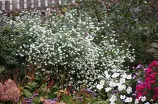 Oktober      0925.webp