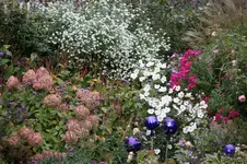 Oktober      1025.webp