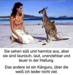 PHOTO-2025-11-03-09-57-28.webp PHOTO-2025-11-03-09-57-28.webp