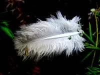 IMG_0328 - Copy.webp