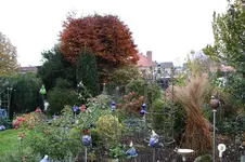 Oktober      2125.webp