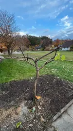 IMG_1531.webp IMG_1531.webp