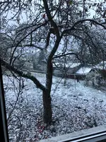 IMG_1449.webp IMG_1449.webp