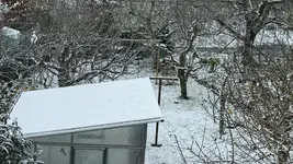 IMG_6770.webp IMG_6770.webp