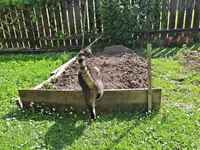 IMG_7121 - Copy.webp