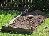 IMG_7114 - Copy.webp