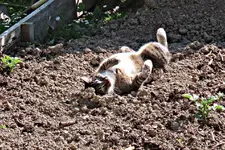 IMG_7116 - Copy.webp