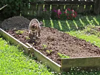 IMG_7119 - Copy.webp