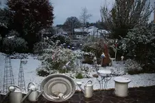 Nov.        1125.webp