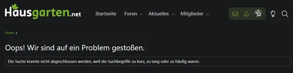 Screenshot 2025-11-22.webp