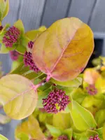 IMG_20251125_123252.webp IMG_20251125_123252.webp