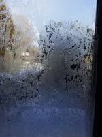 IMG_20251123_102355_1.webp