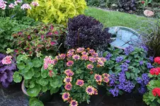 Terasse             2824.webp