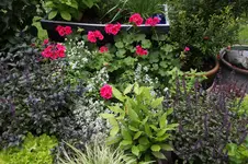 Terasse       8122.webp