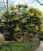 Gallery_1764506875153.webp Gallery_1764506875153.webp