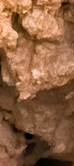 IMG-20251203-WA0049.webp