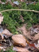 WhatsApp Bild 2025-12-03 um 17.30.53_0038708c.webp