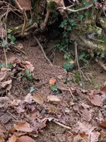 WhatsApp Bild 2025-12-03 um 17.30.53_abb50a8c.webp