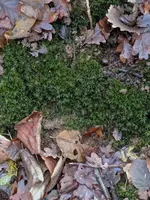 WhatsApp Bild 2025-12-03 um 17.30.53_f810cc4e.webp