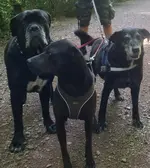 0158 20220528_111718~3.webp