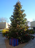 IMG_20251202_121944.webp IMG_20251202_121944.webp