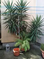 WhatsApp Bild 2025-09-08 um 10.16.06_b99901d3.webp